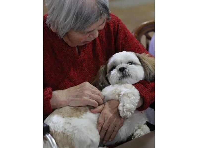 「特別養護老人ホーム 南永田桜樹の森」の施設犬「なつ」を抱っこするご利用者の女性